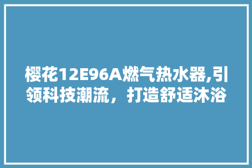 樱花12E96A燃气热水器,引领科技潮流，打造舒适沐浴新体验