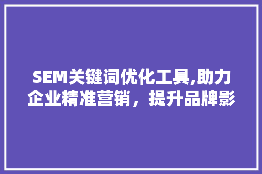 SEM关键词优化工具,助力企业精准营销，提升品牌影响力