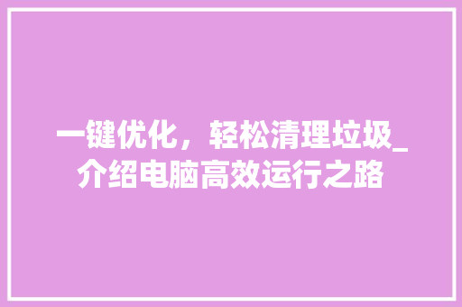 一键优化，轻松清理垃圾_介绍电脑高效运行之路