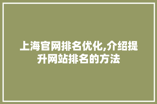 上海官网排名优化,介绍提升网站排名的方法