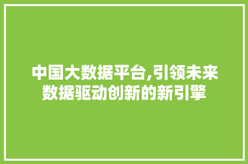 中国大数据平台,引领未来数据驱动创新的新引擎