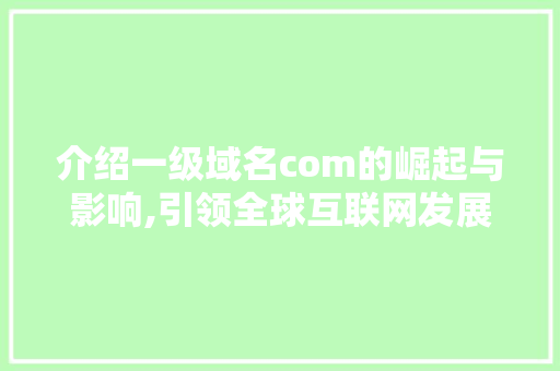 介绍一级域名com的崛起与影响,引领全球互联网发展新篇章