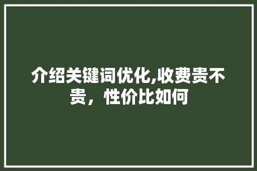 介绍关键词优化,收费贵不贵，性价比如何
