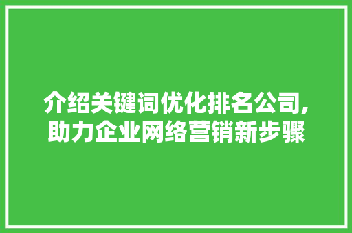 介绍关键词优化排名公司,助力企业网络营销新步骤