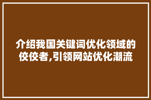 介绍我国关键词优化领域的佼佼者,引领网站优化潮流的顶尖公司