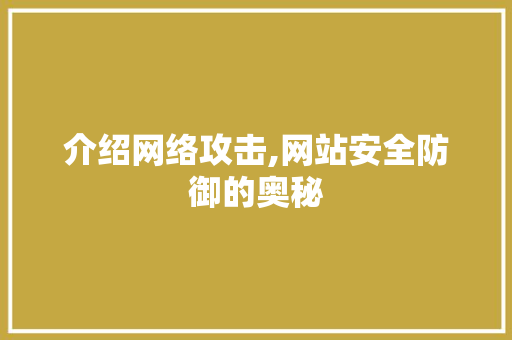 介绍网络攻击,网站安全防御的奥秘
