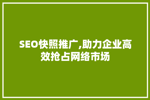 SEO快照推广,助力企业高效抢占网络市场