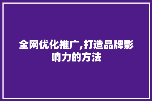 全网优化推广,打造品牌影响力的方法