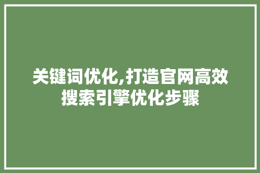 关键词优化,打造官网高效搜索引擎优化步骤