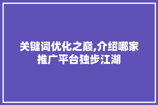 关键词优化之巅,介绍哪家推广平台独步江湖