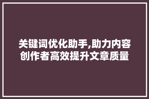关键词优化助手,助力内容创作者高效提升文章质量
