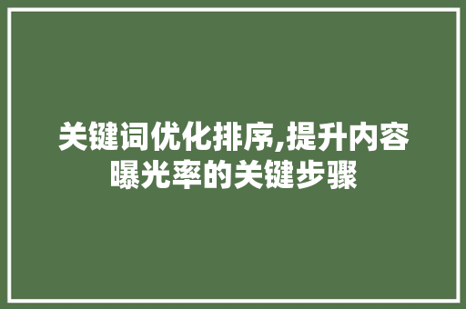 关键词优化排序,提升内容曝光率的关键步骤