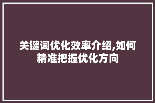 关键词优化效率介绍,如何精准把握优化方向