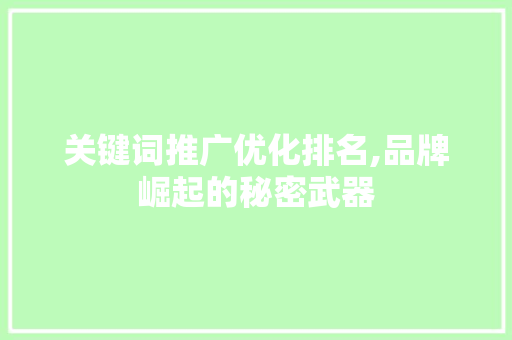 关键词推广优化排名,品牌崛起的秘密武器