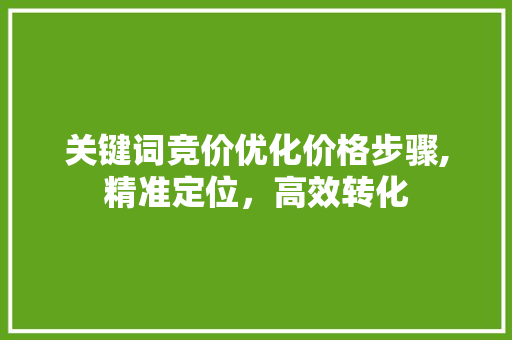 关键词竞价优化价格步骤,精准定位，高效转化