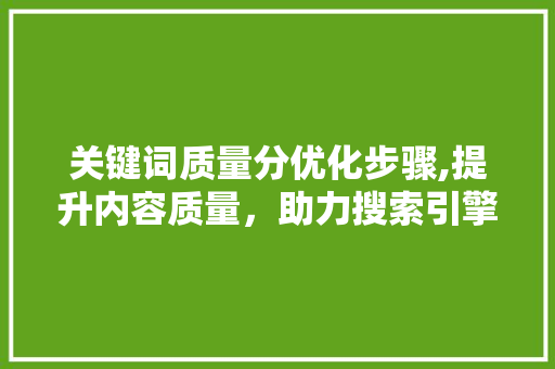 关键词质量分优化步骤,提升内容质量，助力搜索引擎优化