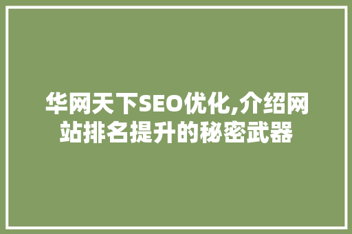 华网天下SEO优化,介绍网站排名提升的秘密武器