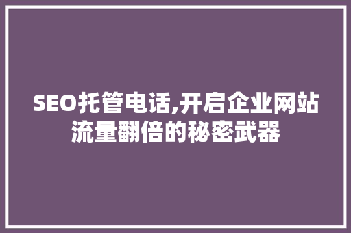 SEO托管电话,开启企业网站流量翻倍的秘密武器