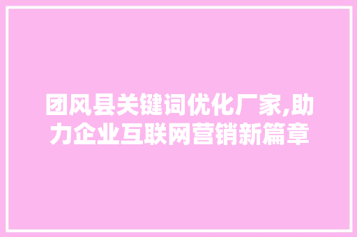 团风县关键词优化厂家,助力企业互联网营销新篇章