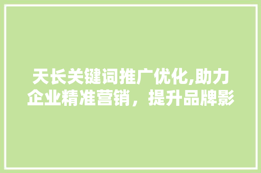 天长关键词推广优化,助力企业精准营销，提升品牌影响力