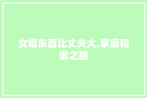 女婿东西比丈夫大,家庭和谐之路