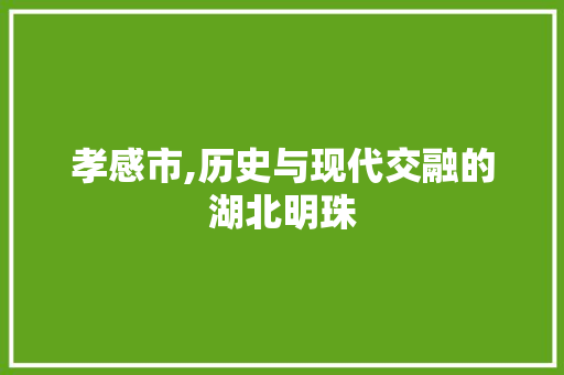 孝感市,历史与现代交融的湖北明珠
