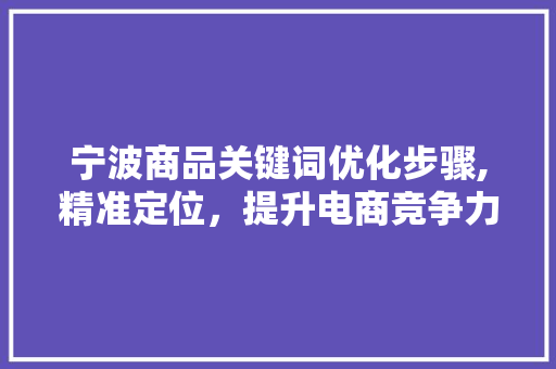 宁波商品关键词优化步骤,精准定位，提升电商竞争力