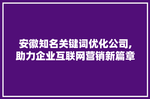 安徽知名关键词优化公司,助力企业互联网营销新篇章