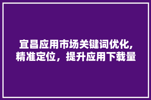 宜昌应用市场关键词优化,精准定位，提升应用下载量
