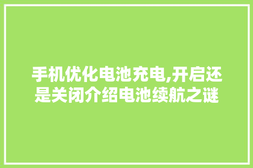 手机优化电池充电,开启还是关闭介绍电池续航之谜