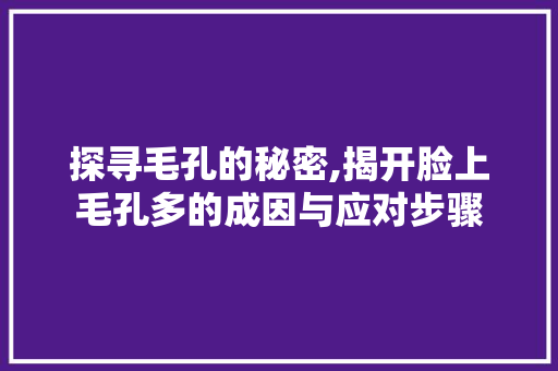 探寻毛孔的秘密,揭开脸上毛孔多的成因与应对步骤