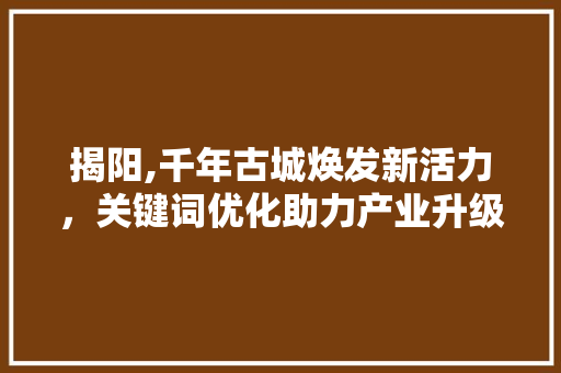 揭阳,千年古城焕发新活力，关键词优化助力产业升级