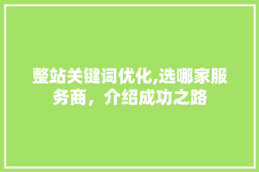 整站关键词优化,选哪家服务商，介绍成功之路