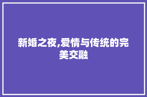 新婚之夜,爱情与传统的完美交融