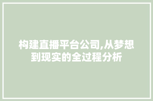 构建直播平台公司,从梦想到现实的全过程分析