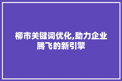柳市关键词优化,助力企业腾飞的新引擎