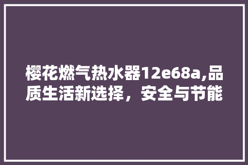 樱花燃气热水器12e68a,品质生活新选择，安全与节能的完美结合