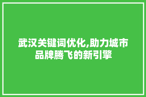 武汉关键词优化,助力城市品牌腾飞的新引擎