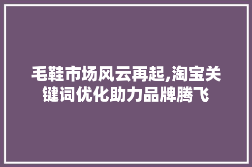 毛鞋市场风云再起,淘宝关键词优化助力品牌腾飞