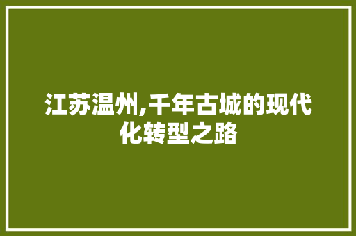 江苏温州,千年古城的现代化转型之路 WordPress教程