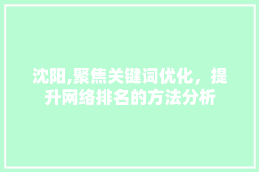 沈阳,聚焦关键词优化，提升网络排名的方法分析