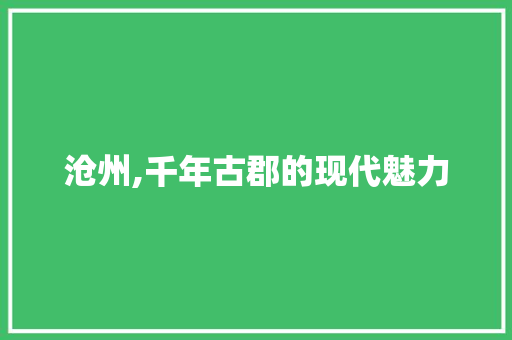 沧州,千年古郡的现代魅力