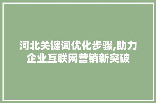 河北关键词优化步骤,助力企业互联网营销新突破