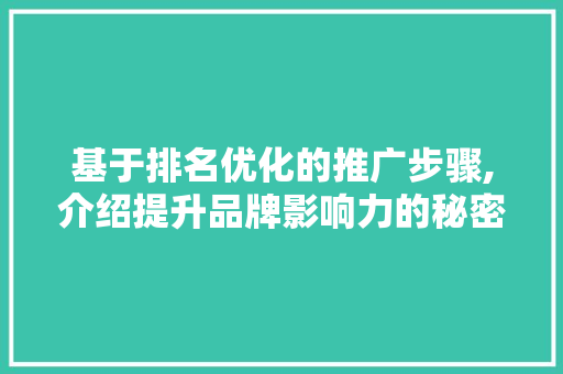 基于排名优化的推广步骤,介绍提升品牌影响力的秘密武器