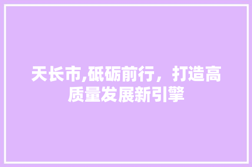 天长市,砥砺前行，打造高质量发展新引擎