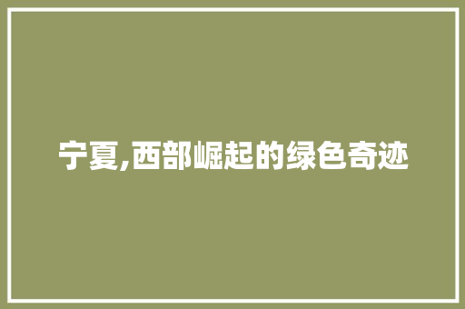 宁夏,西部崛起的绿色奇迹