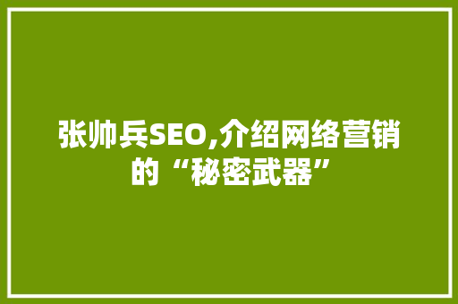 张帅兵SEO,介绍网络营销的“秘密武器”
