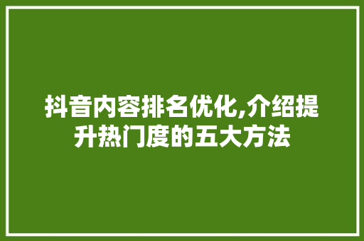 抖音内容排名优化,介绍提升热门度的五大方法