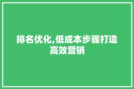排名优化,低成本步骤打造高效营销