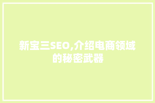 新宝三SEO,介绍电商领域的秘密武器